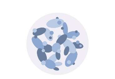 Yeast Hybrid related Products