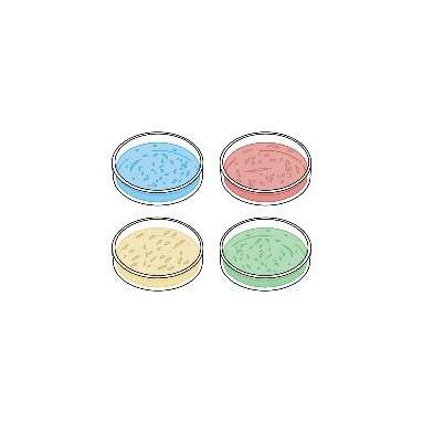 Membrane Protein Products