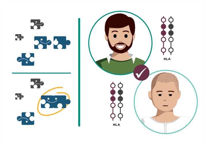 Single Specific Primer-Polymerase Chain Reaction (SSP-PCR) and Genome  Walking