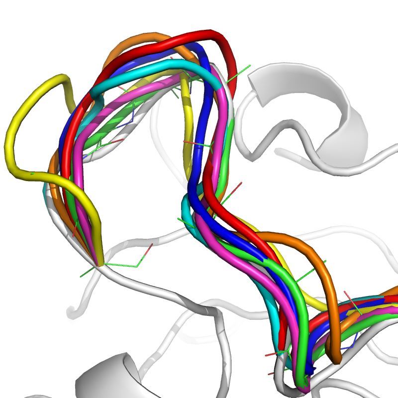Single Loop Protein Design