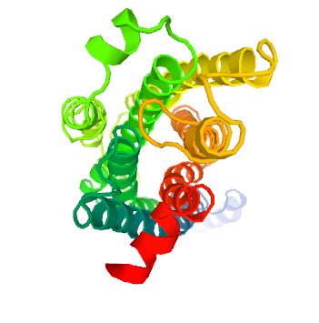 Structure of TAAR2 membrane protein.