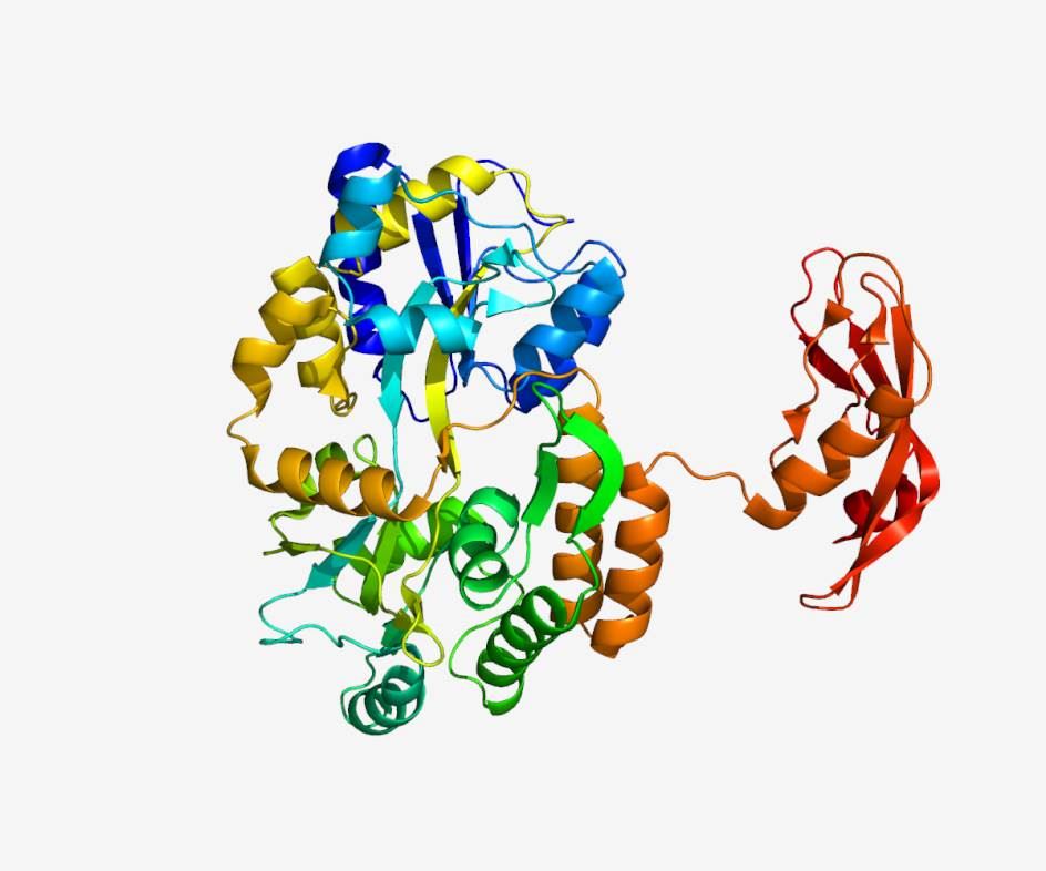 Structure of G protein-coupled receptor.