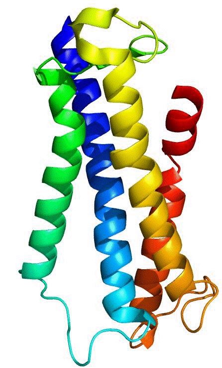 TBXA2R Membrane Protein Introduction