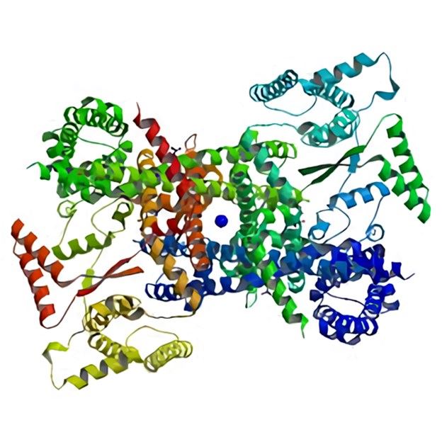 Secondary structure of TPCN1.