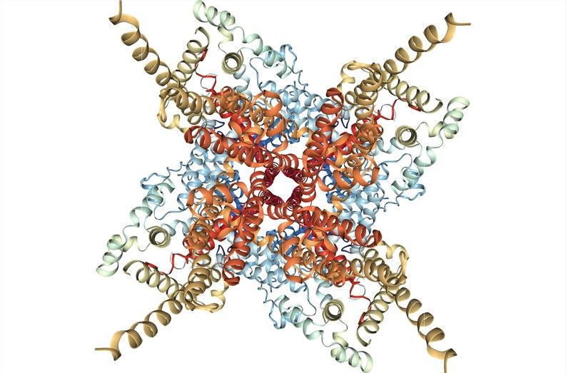 Cryo-EM structure of human TRPC3 at 4.36A resolution.