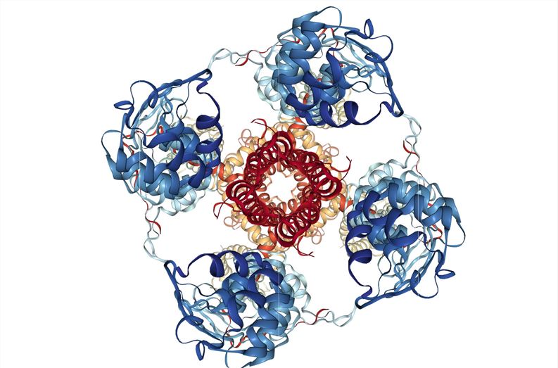 TRPA1 Membrane Protein Introduction