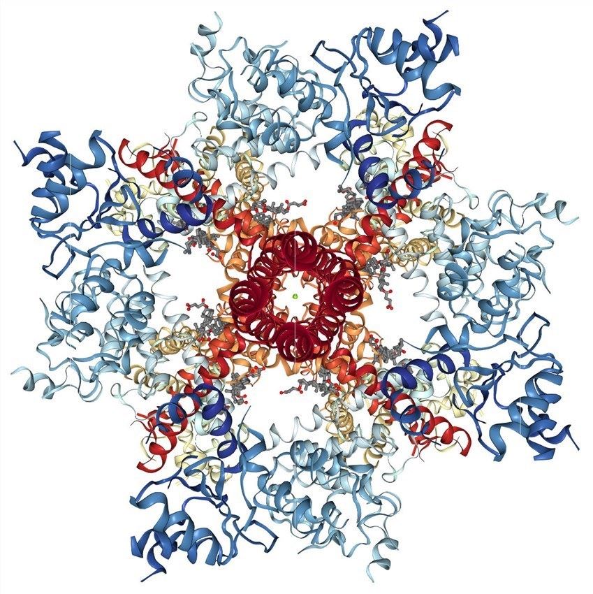 CryoEM structure of truncated mouse TRPM7.