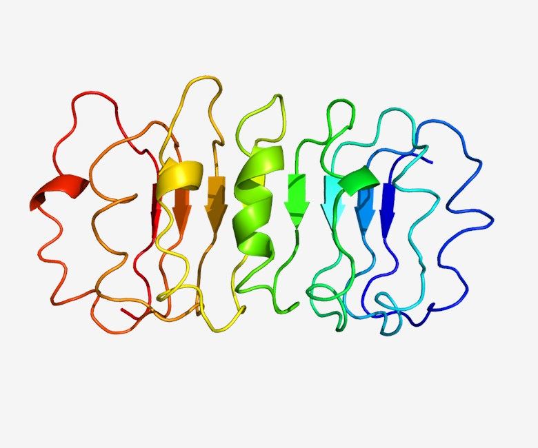 TSHR Membrane Protein Introduction