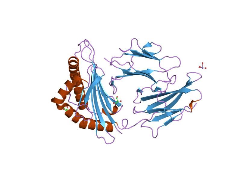 Structure of VIPR1 membrane protein.