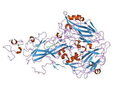 VLDLR Membrane Protein Introduction