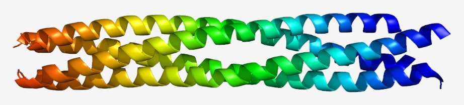 VTI1B Membrane Protein Introduction