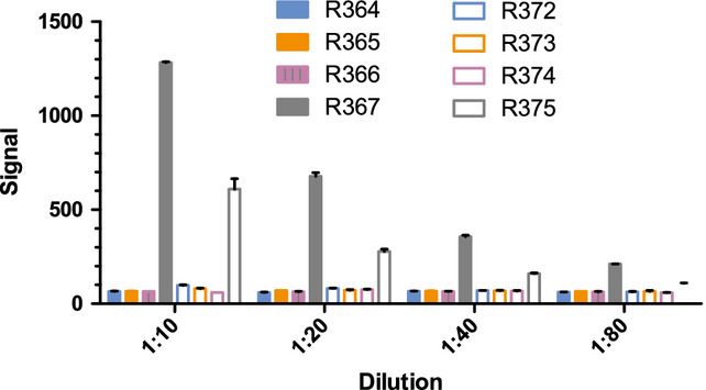 Advanced Ferret Monoclonal Antibody Discovery Service