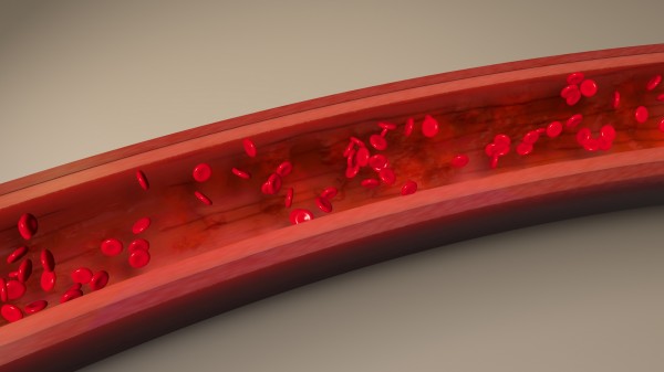In Vivo Phage Library Screening Service for Vascular Endothelium Targeting