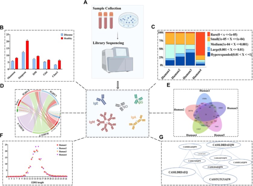 Fig. 2 Sequence analysis of BCR repertoire. (OA Literature)