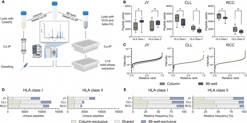 Advanced Peptide Repertoire Analysis Services