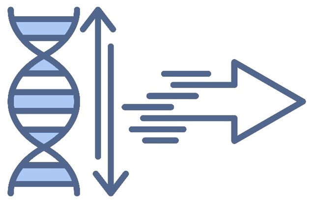 Next-Gen Repertoire Analysis Services: Comprehensive Immune Profiling Solutions