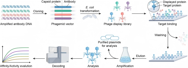 Advanced Solid-Phase Strategy based Library Screening Service