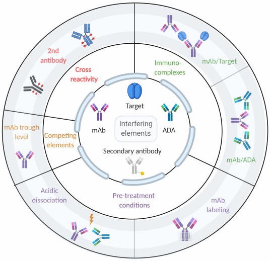 Fig. 1 Elements affecting ADA identification in immunoassays. (OA Literature).