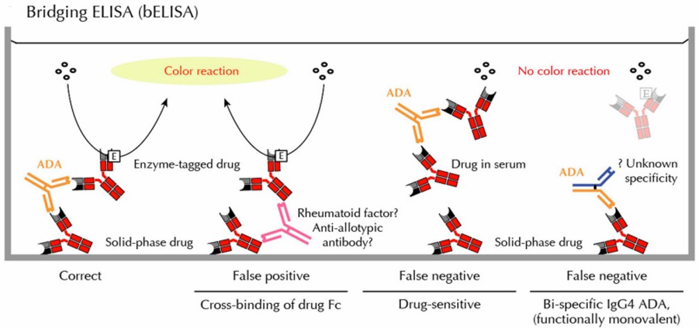 Fig. 1 Elements affecting ADA identification in immunoassays. (OA Literature).