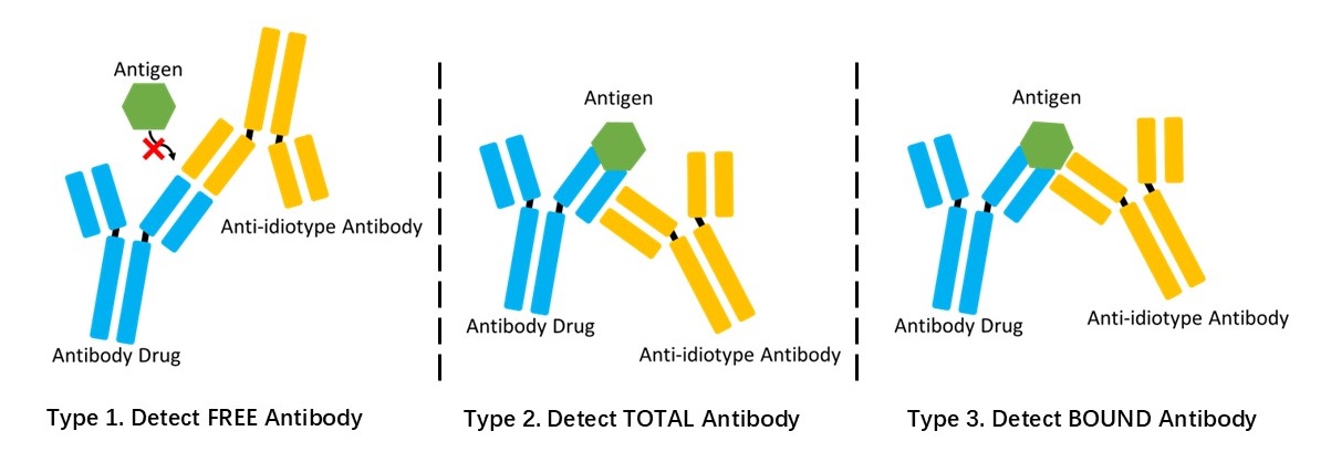 Fig. 1 Anti-idiotypic antibody types. (Creative Biolabs Original).