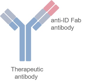 Binding mode of anti-idiotypic antibody detecting FREE antibody.
