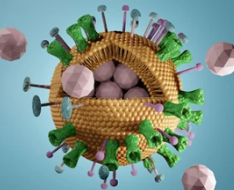 Anti-infectious-diseases-specific Antibody Introduction