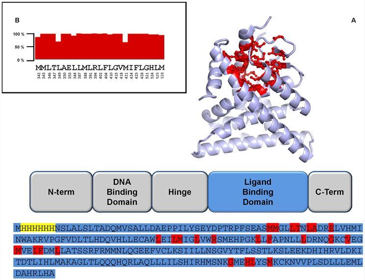 Fig.1 Sequence and structural analysis of ER protein. (Ferrero, et al., 2014)