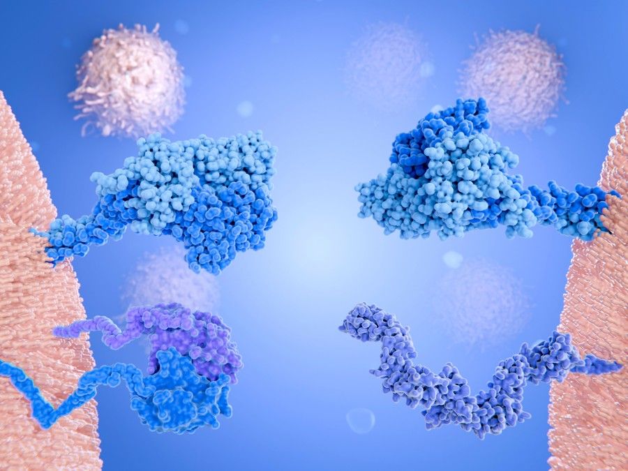 Fig. 1 Scheme of membrane protein. (Creative Biolabs Authorized).