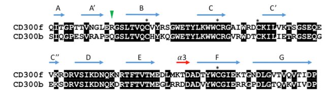 Fig. 1 Sequence alignment diagram for CD300LF extracellular immunoglobulin like domain, open access reference figure for CD300 family membrane protein research reagents. (OA Literature)