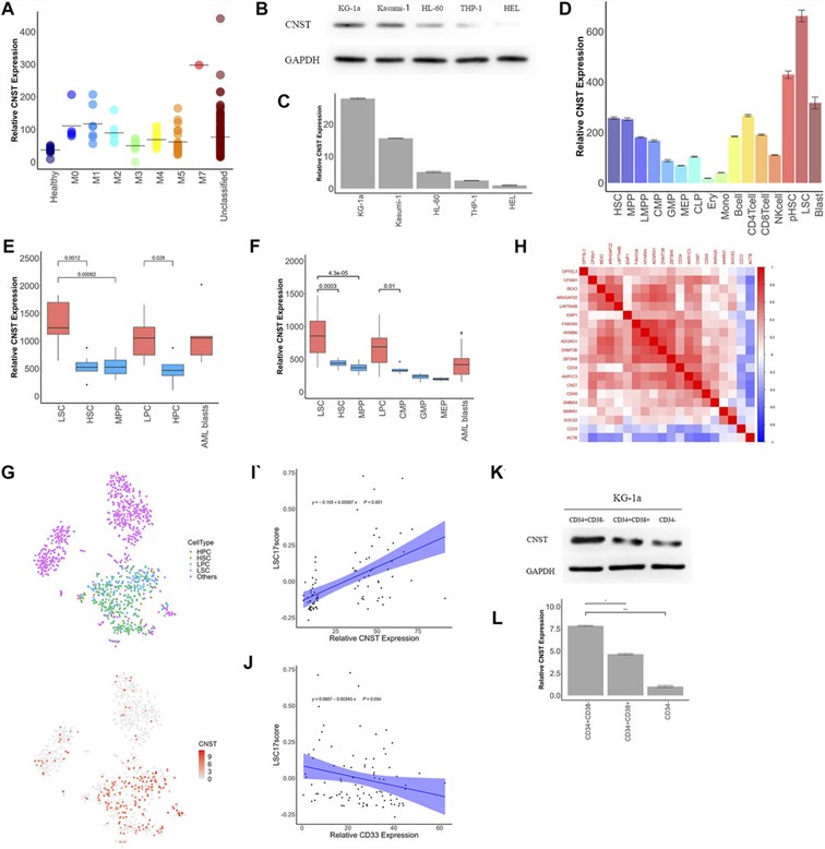 Fig.1 CNST expression is associated with impaired hematopoietic differentiation. (OA Literature)