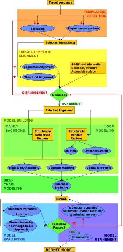 Fig.1 Flowchart of methods used for comparative modeling. (Centeno, Joan and Baldomero, 2005)