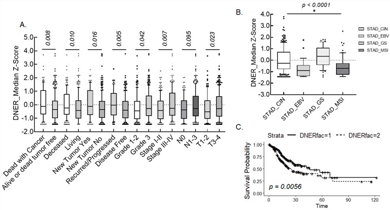 Fig.1 Association of DNER expression with various diseases. (OA Literature)