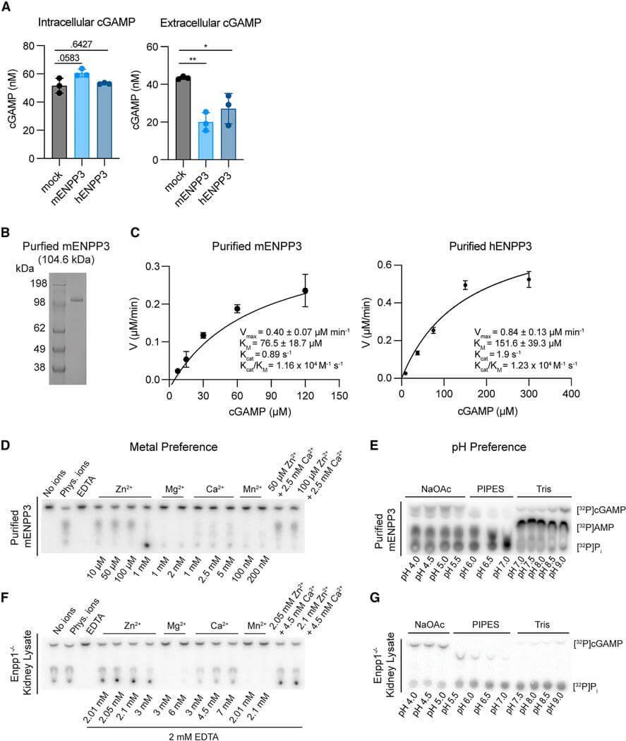 Fig. 1 Efficiency of ENPP3 under physiological pH conditions. (OA Literature)