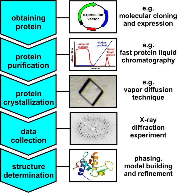 Fig. 1 Major steps during X-ray crystallography. (OA Literature)