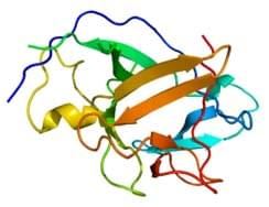 Fig. 1 Biosynthesis, transport and receptor regulation network of IL-1α, IL-1β and IL-1Ra. (OA Literature)