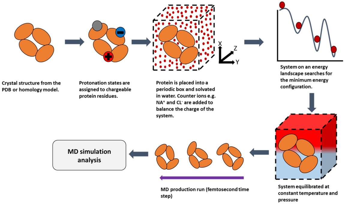 Fig.1 A general summary of the MD process. (Pandya, et al., 2018)