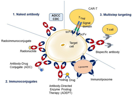 Advanced Hybridoma-based MemDX Human Antibody Discovery Services 