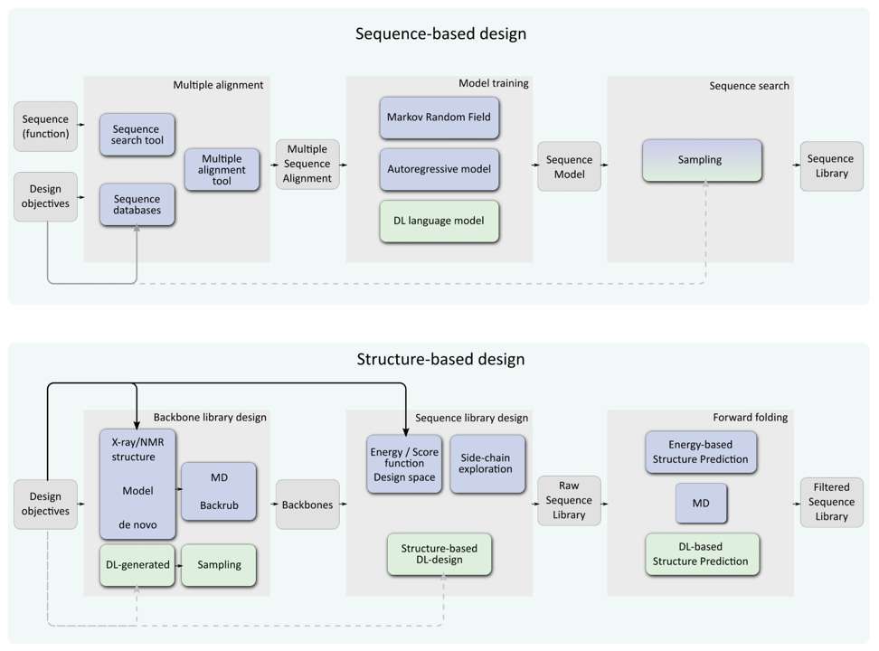 Fig.1 General workflows for computational protein design. (Defresne, Sophie and Thomas, 2021)