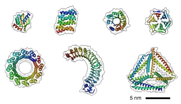 Schematic representation of de novo designed single-chain proteins.