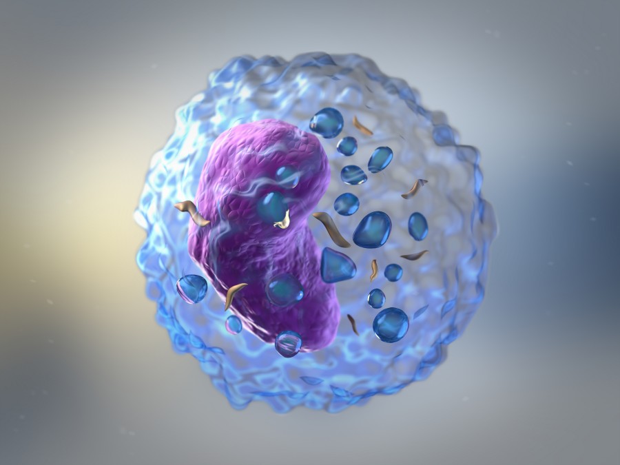 Advanced Cell Line Affinity Measurement Services 