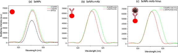 Unparalleled Ligand and Analyte Affinity Measurement Service 