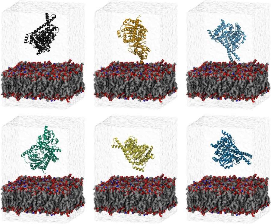 High-Fidelity Membrane Protein Affinity Measurement Services 