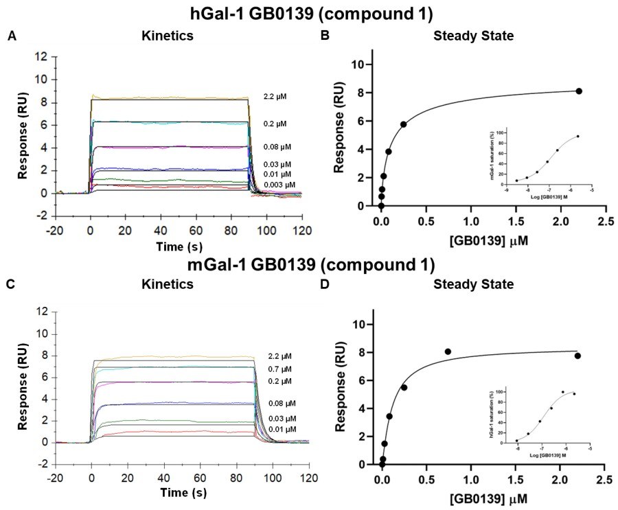 High-Precision Small Molecule Affinity Measurement Services 