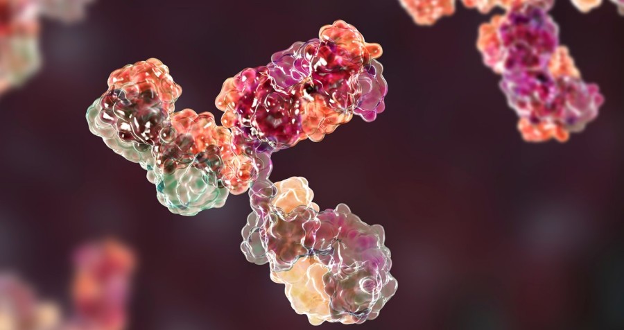 Expert De Novo Biosimilar Monoclonal Antibody Sequencing Service 