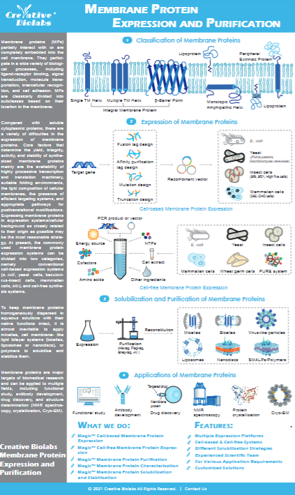 Membrane Protein Expression and Purification