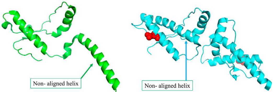 Fig.1 The mutant structure of the major prion protein undergoes a conformational switch. (Prabantu, Nagarajan and Narayanaswamy, 2021)