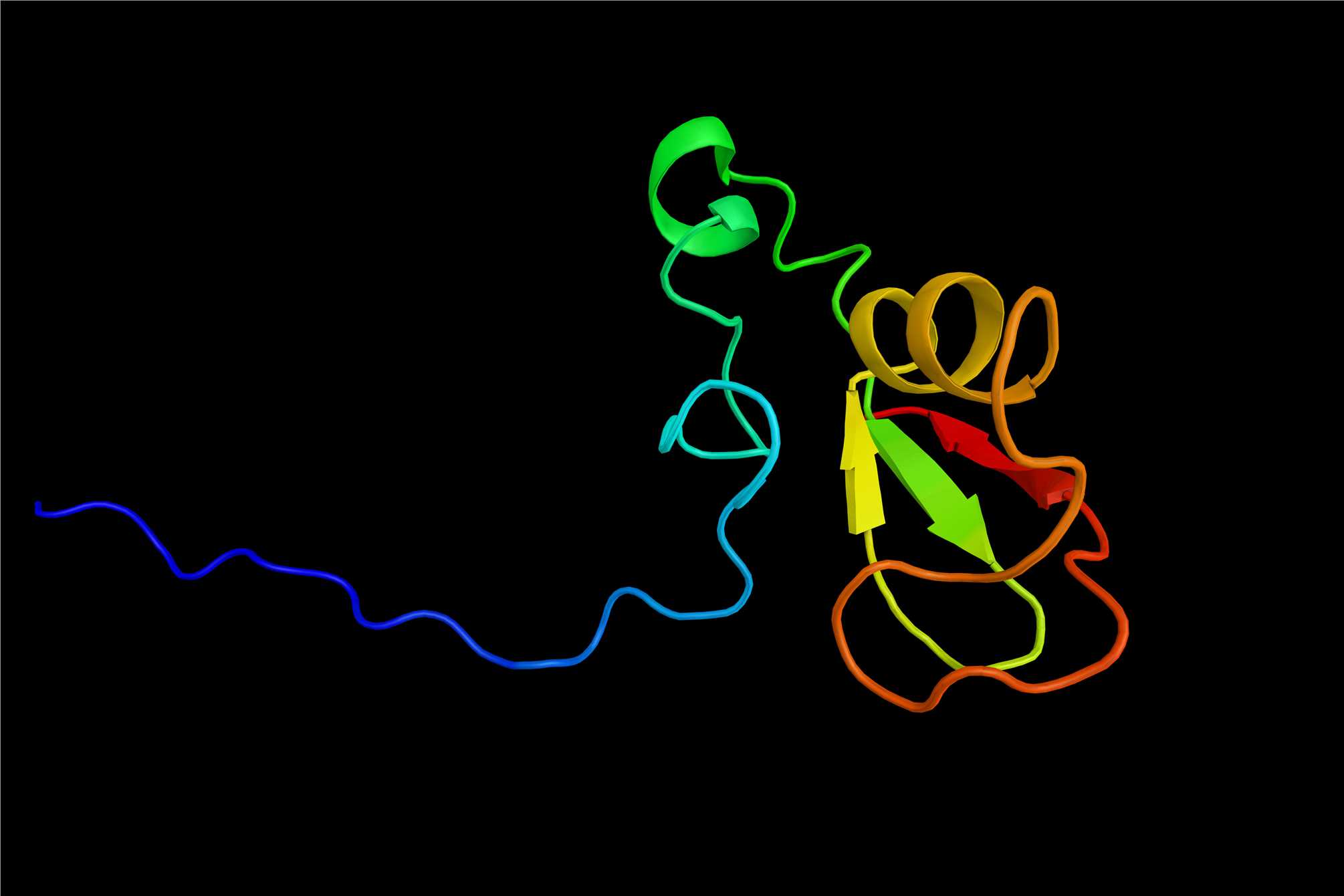 Neddylation-Specific Antibody Introduction
