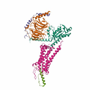 Structure of NPY2R membrane protein.