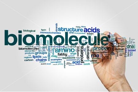 pH-sensitive Biomolecules Discovery Services