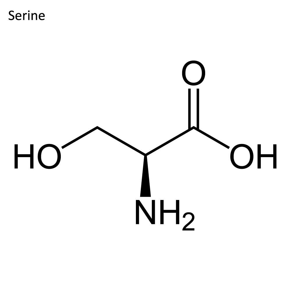 Phosphorylation-Specific Antibody Introduction